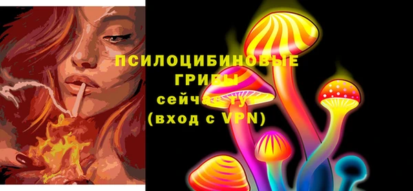 шишки Вяземский