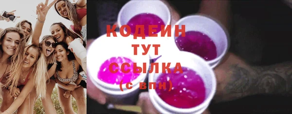 шишки Вяземский