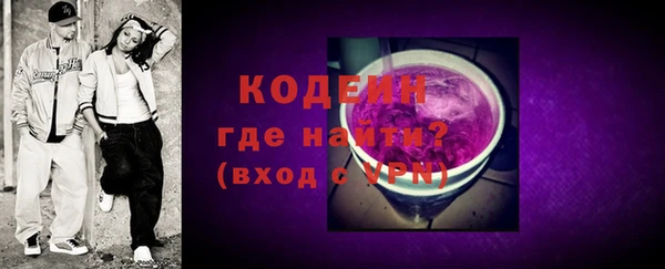 шишки Вяземский