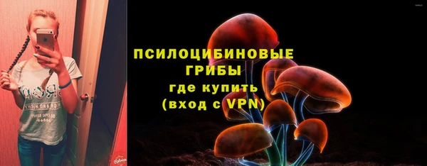 mix Вязьма