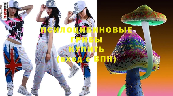 шишки Вяземский