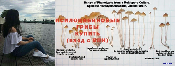 марки lsd Вязники